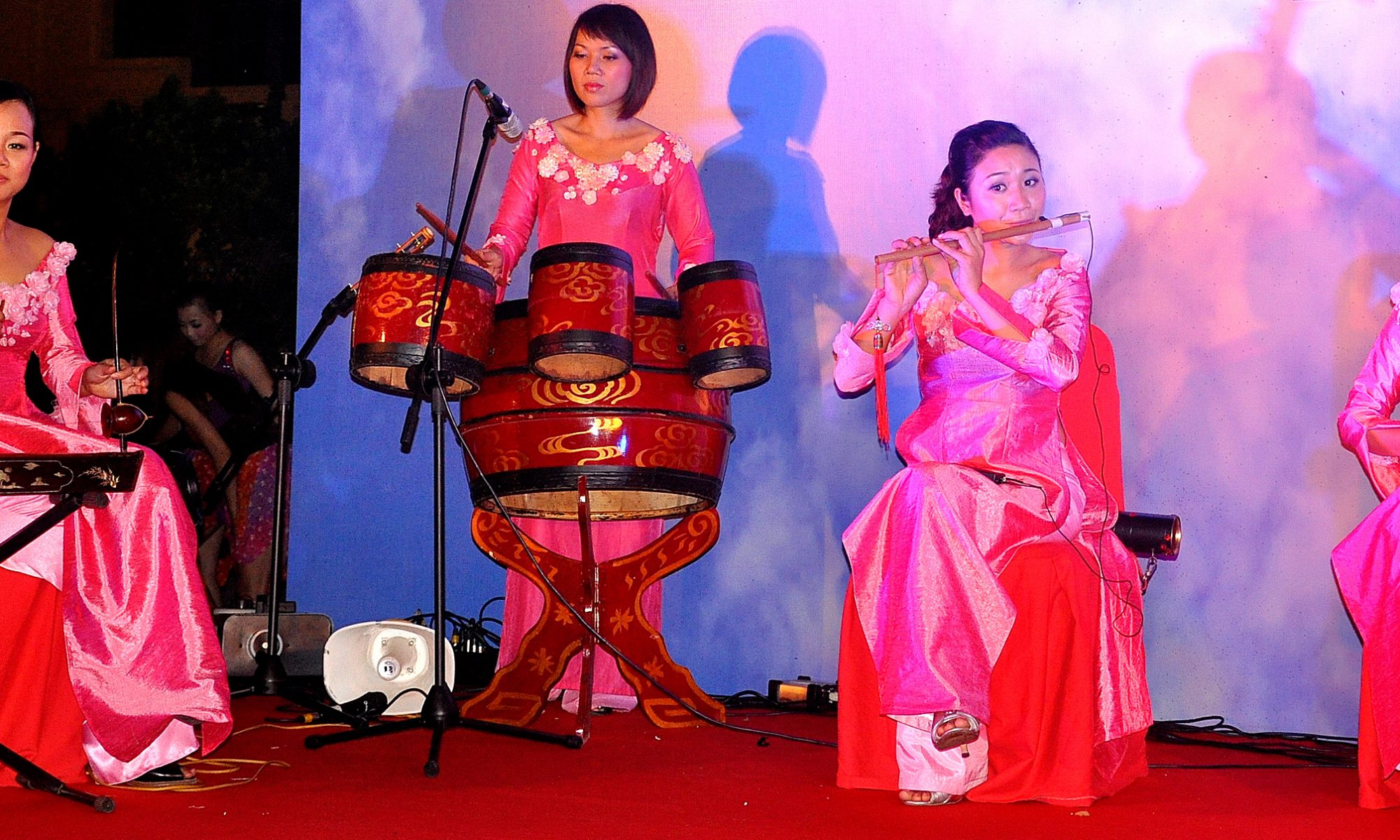Vietnam Karaoke: Singing the Melodies of Vietnamese Souls